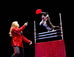 CirqueduCanine-54-300x230